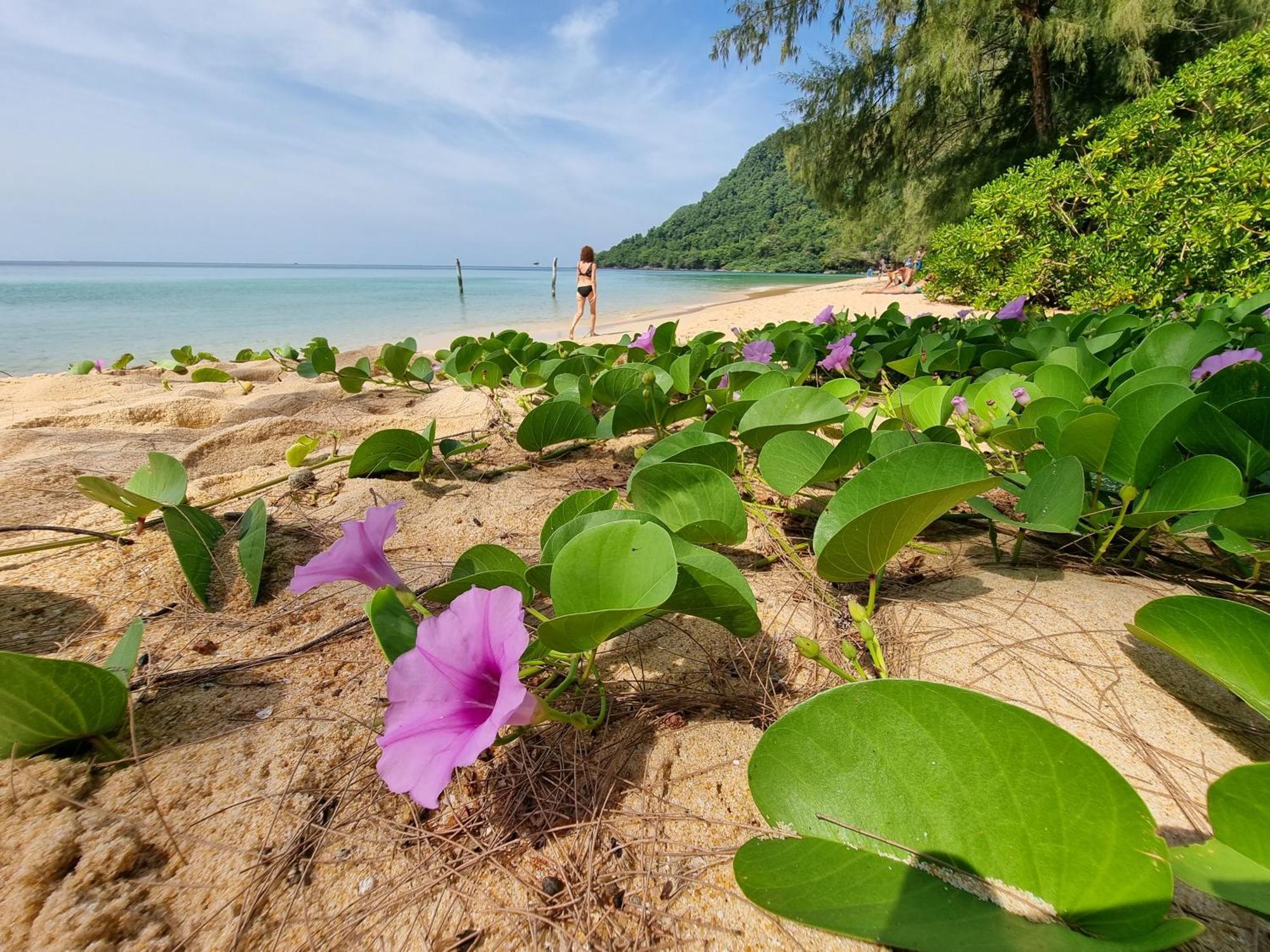 Sunboo Beach Bungalows เกาะรงสำลน ภายนอก รูปภาพ