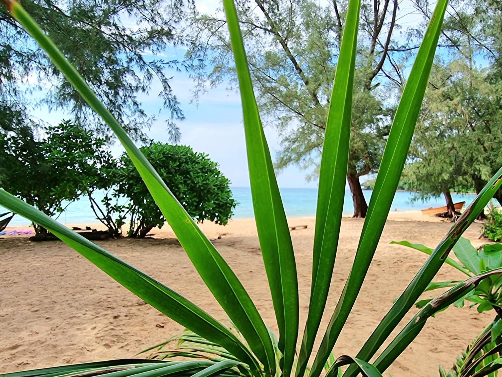 Sunboo Beach Bungalows เกาะรงสำลน ภายนอก รูปภาพ
